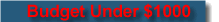 Budget Under $500